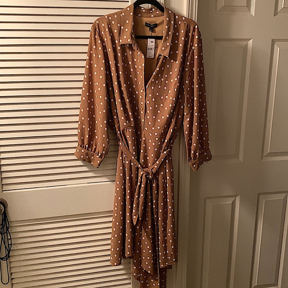 Tan polka dot shirt style dress